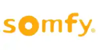 Vitrier Somfy Saint-Genest-Lerpt